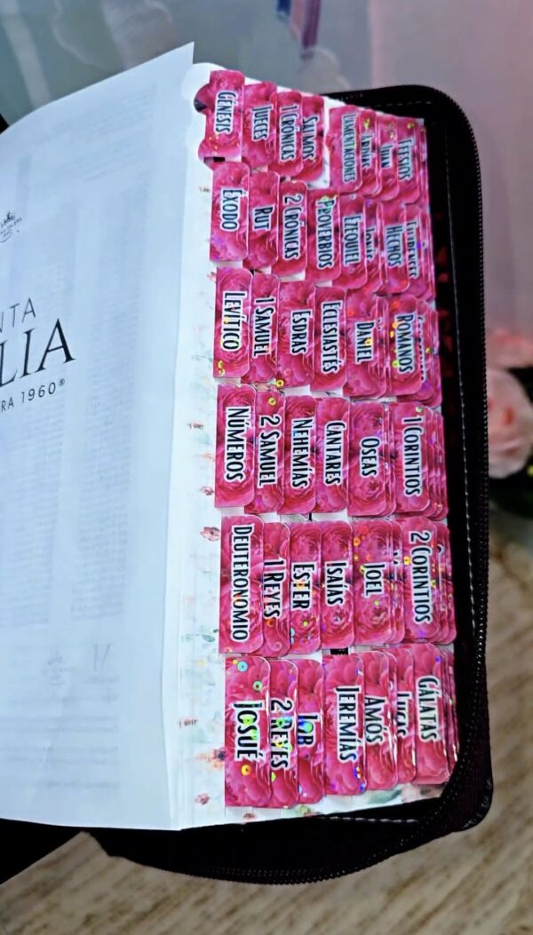 Biblia con Cierre Letra Gigante Manual 14 puntos RV1960, imit piel duotono rosa fucsia con índice y canto floral