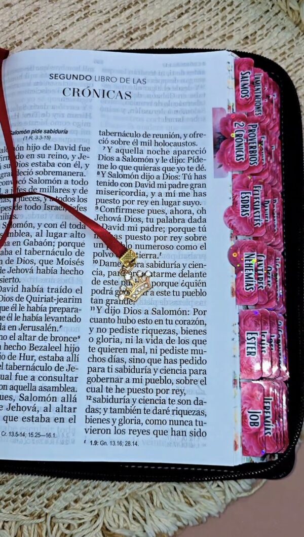 Biblia con Cierre Letra Gigante Manual 14 puntos RV1960, imit piel duotono rosa fucsia con índice y canto floral