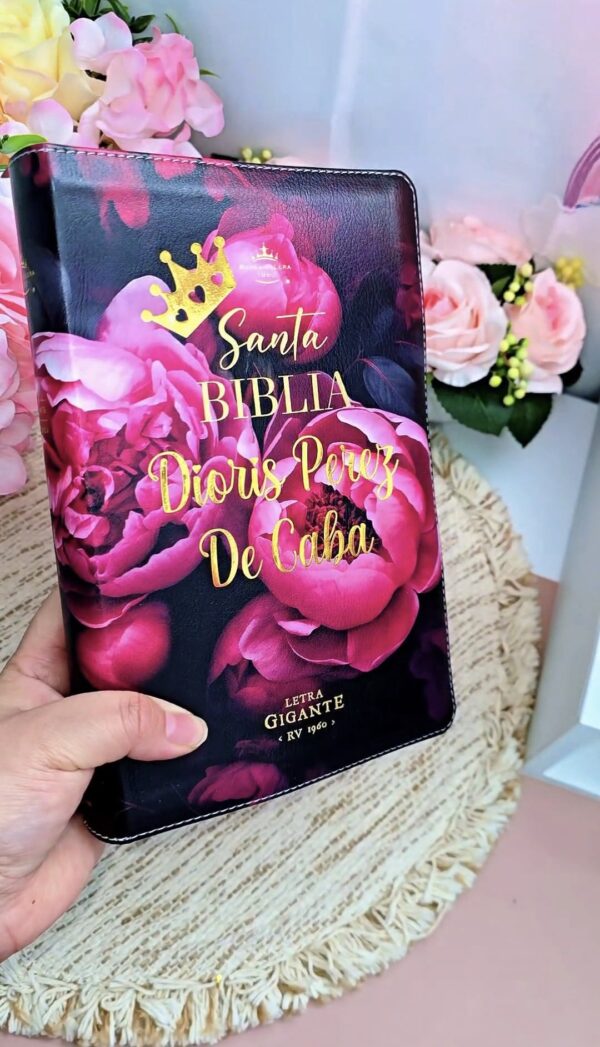 Biblia con Cierre Letra Gigante Manual 14 puntos RV1960, imit piel duotono rosa fucsia con índice y canto floral