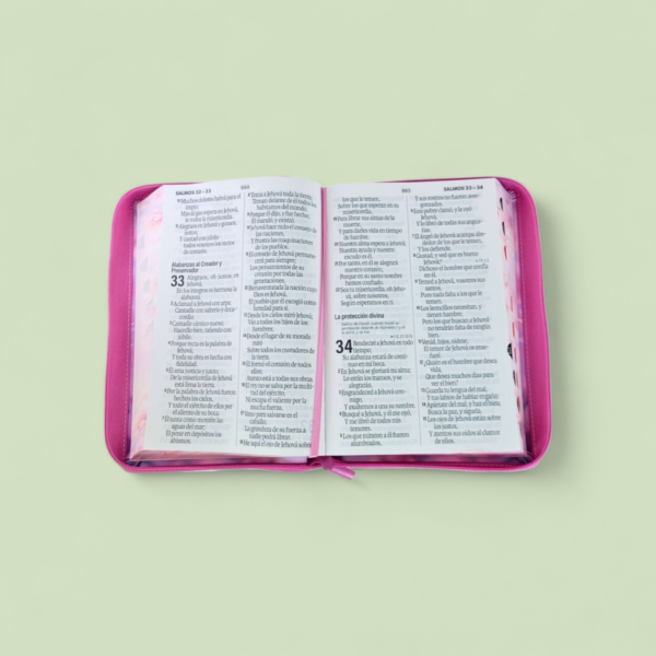 Screenshot_20260319_153234_Chrome (2) Biblia con Cierre Letra Súper Gigante 19 puntos Mediana RV1960, imit piel margaritas rosas con índice y canto floral