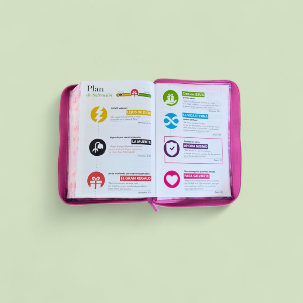 Screenshot_20260319_153234_Chrome (3) Biblia con Cierre Letra Súper Gigante 19 puntos Mediana RV1960, imit piel margaritas rosas con índice y canto floral