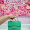 Biblia Cartera - Verde | Exclusiva con Asa de Mano | Edición Rosa De Sarón ✨ Reina- Valera 1960