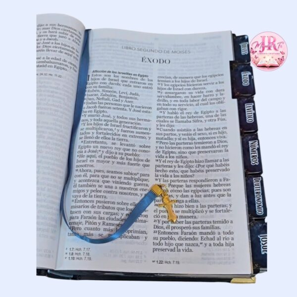 Biblia de la Espada – Pasta Dura ⚔️